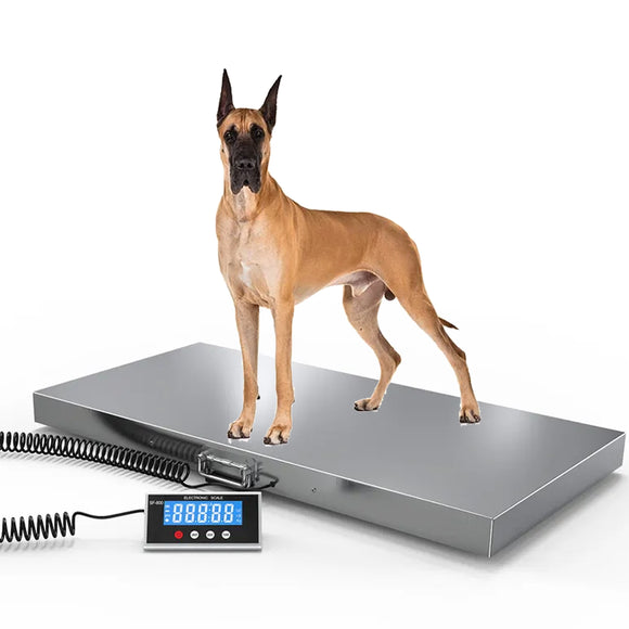 1100Lbs x 0.2Lbs Digital Livestock Scale Large Pet Vet Scale Stainless Steel Platform Electronic Postal Shipping Scale Heavy Duty Large Dog Hog Sheep Goat Pig Sheep
